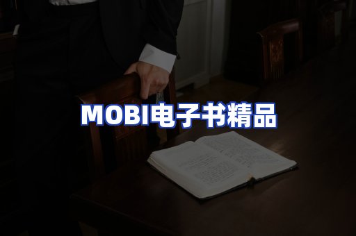 外文电子书产品
