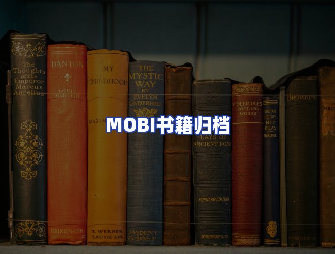 专业团队